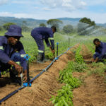 Irrigation Systems